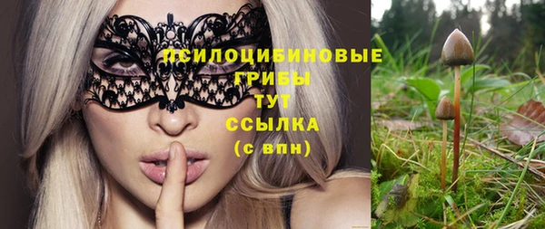 бутират Дмитриев