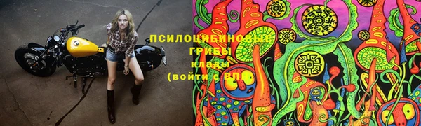 соль курить ск Дмитров