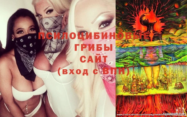 мяу мяу мука Дмитровск